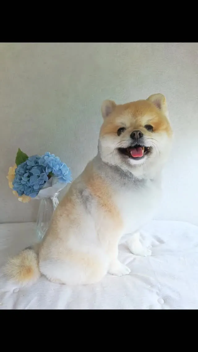 はじめましてのお友だち🐾