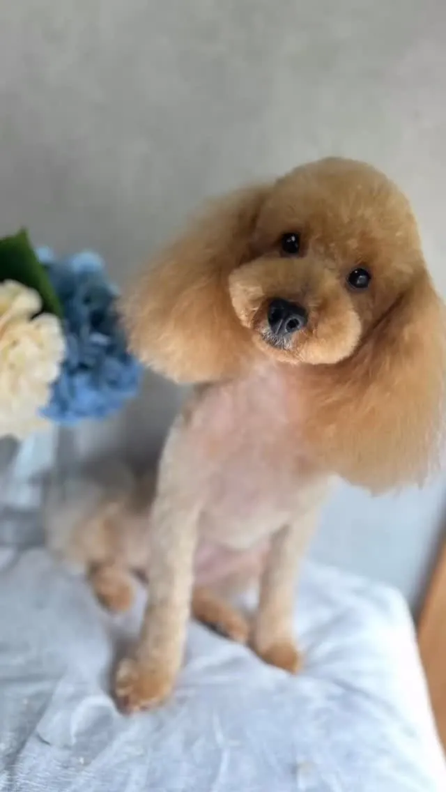 初めましてのお友達🐾