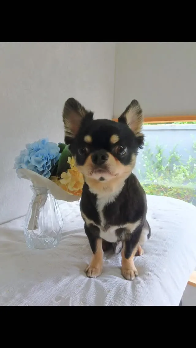 はじめましてのお友だち🐾