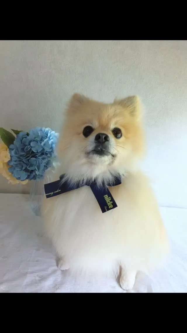 はじめましてのお友だち🐾