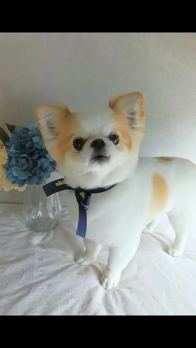 はじめましてのお友だち🐾