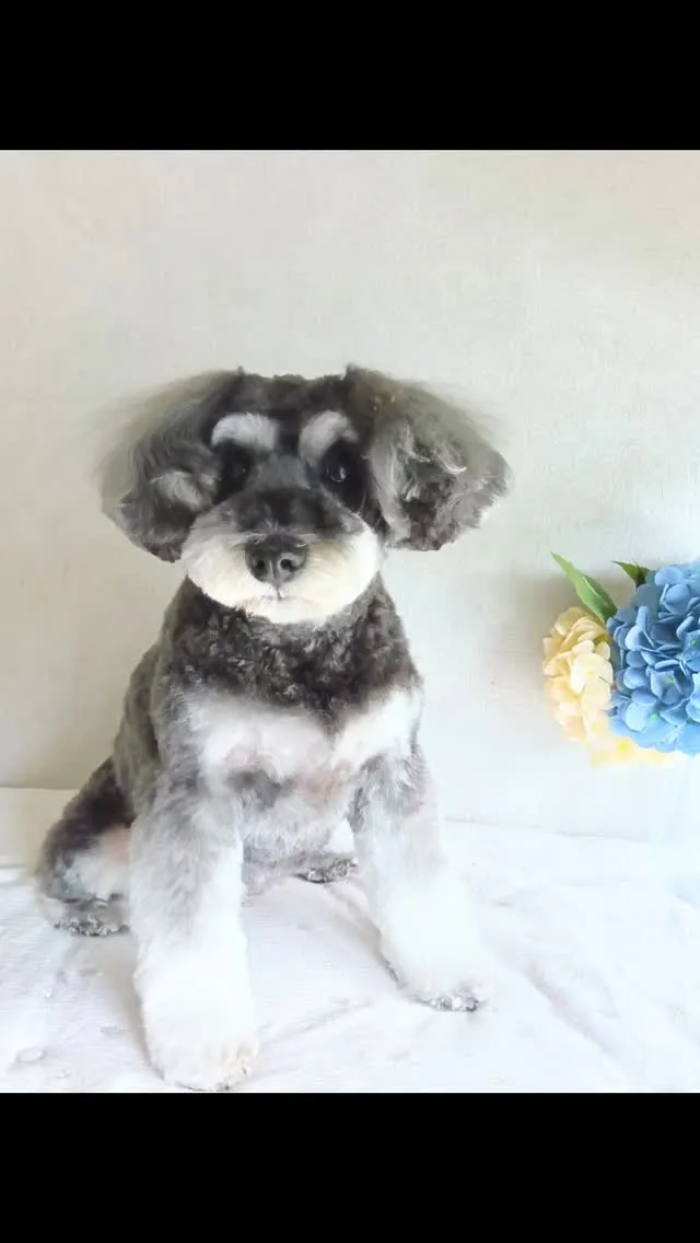 はじめましてのお友だち🐾