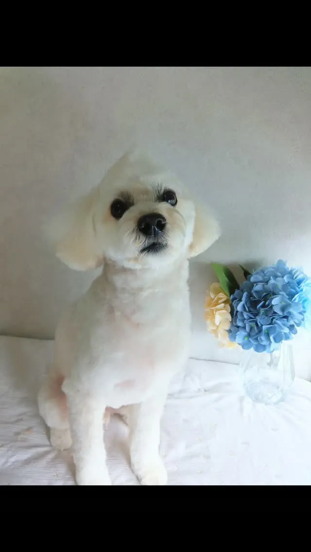 はじめましてのお友だち🐾