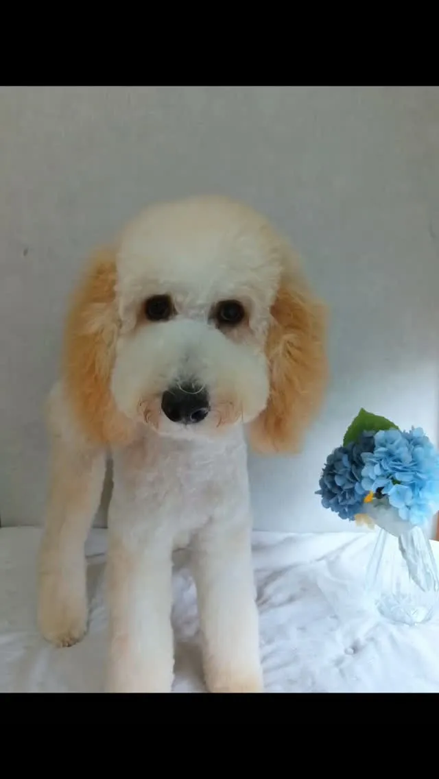 はじめましてのお友だち🐾