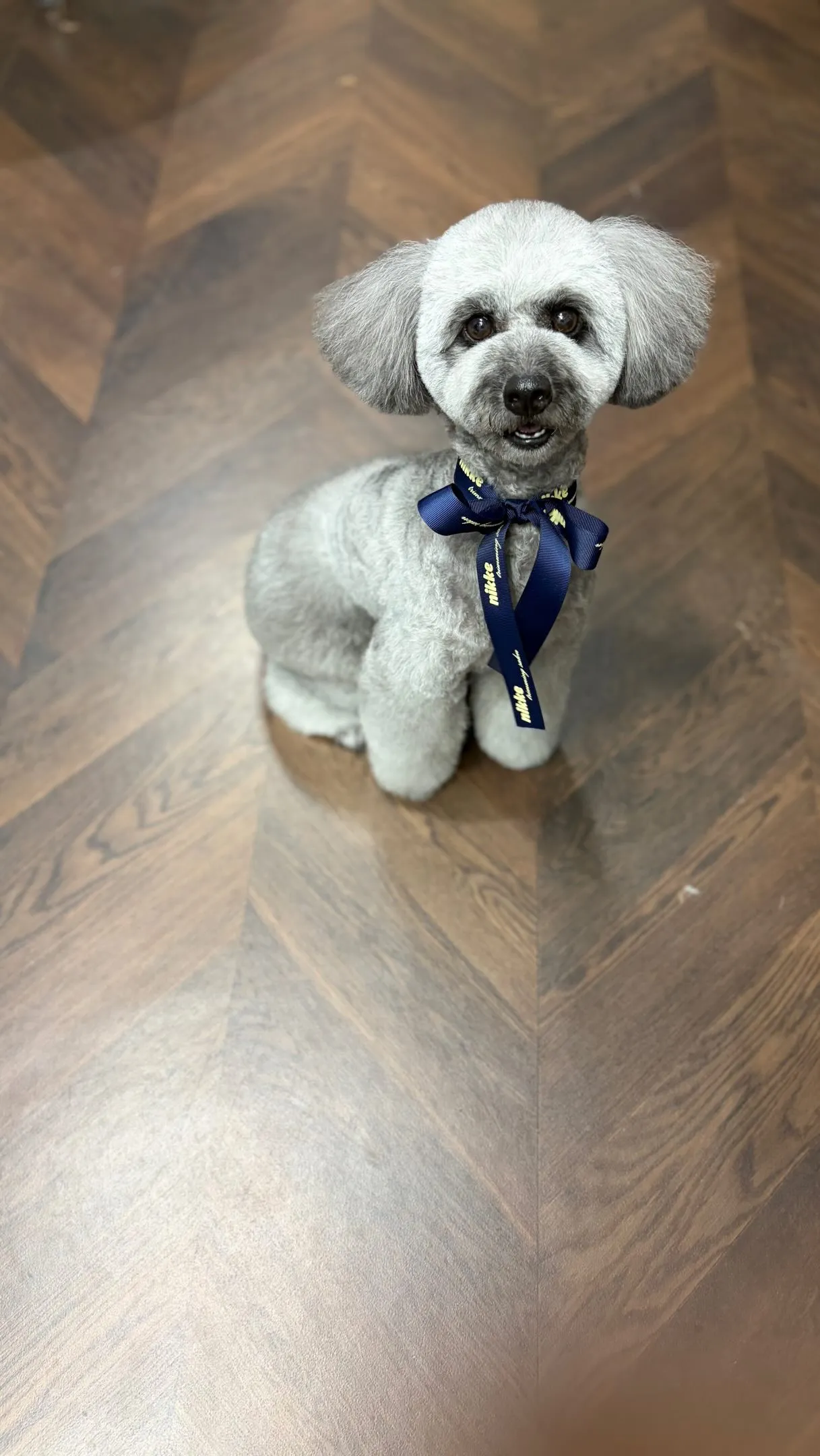 初めましてのおともだち🐾