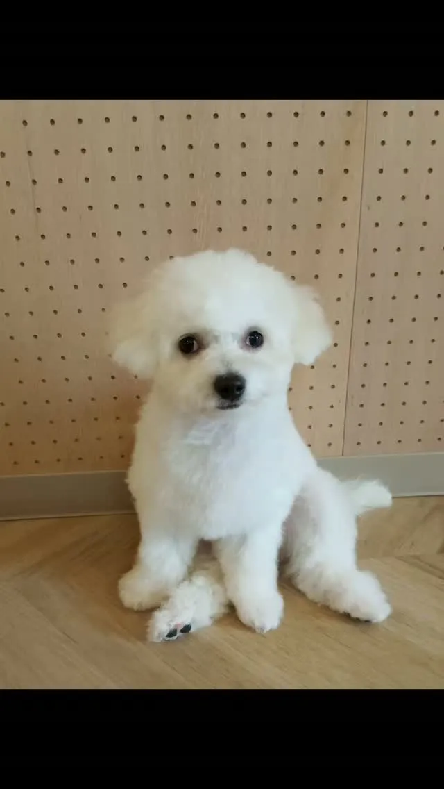 はじめましてのお友だち🐾