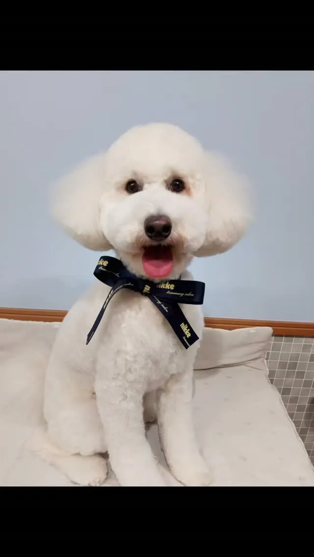 はじめましてのお友だち🐾