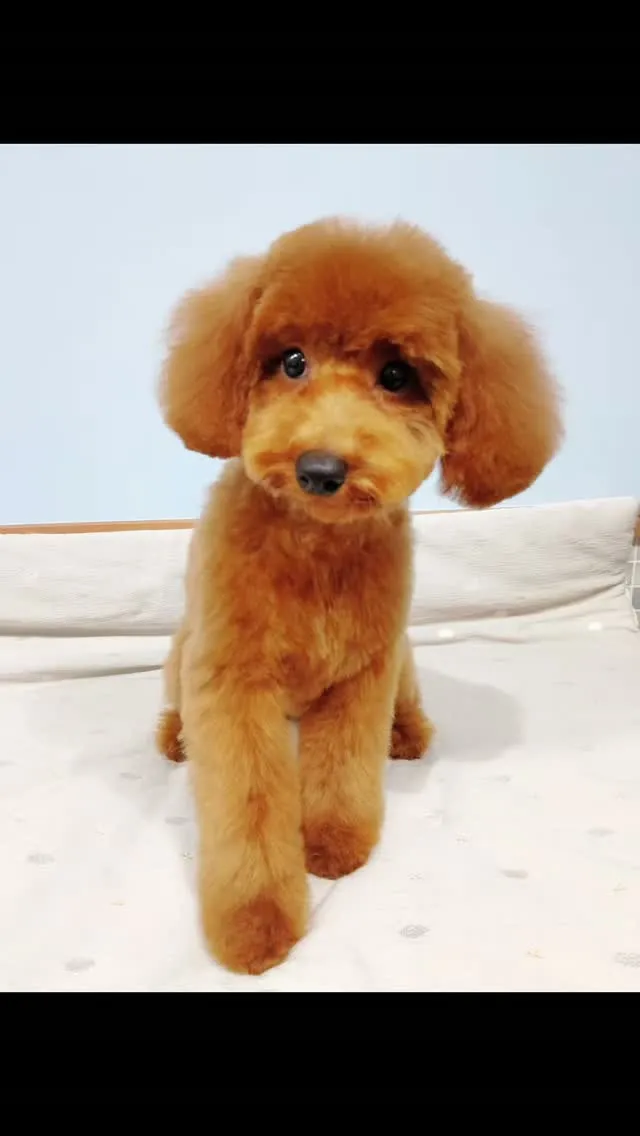 はじめましてのお友だち🐾