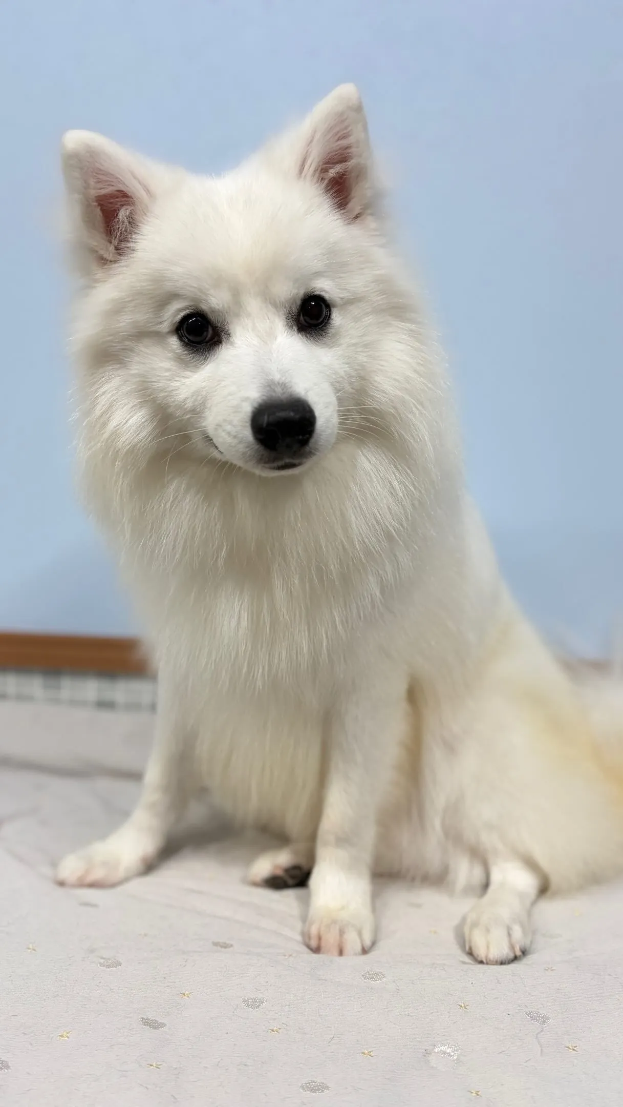 初めましてのおともだち🐾