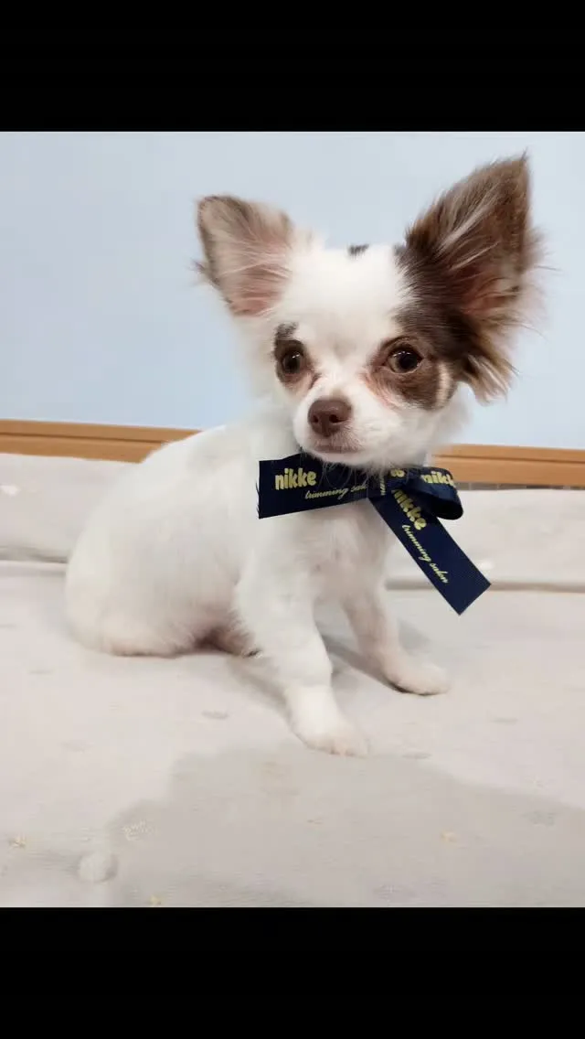 はじめましてのお友だち🐾