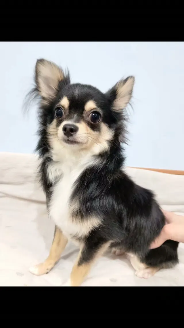 はじめましてのお友だち🐾