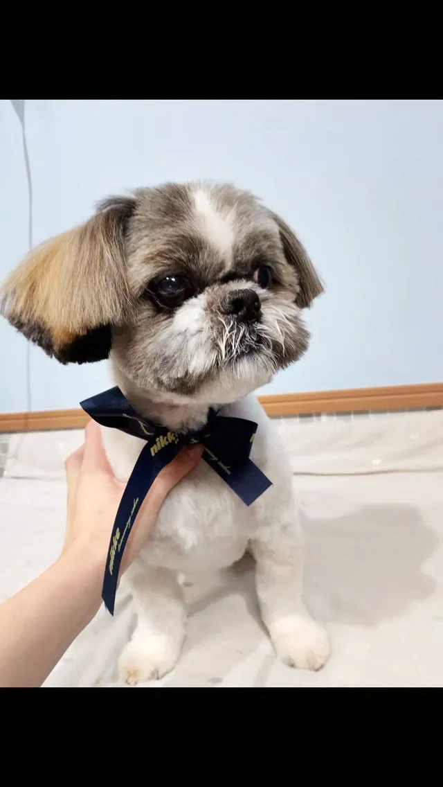 はじめましてのお友だち🐾