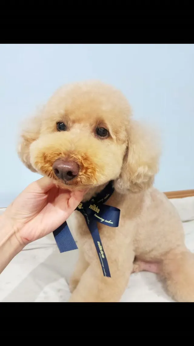 はじめましてのお友だち🐾