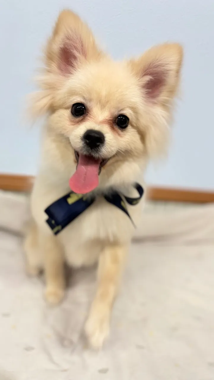 はじめましてのおともだち🐾